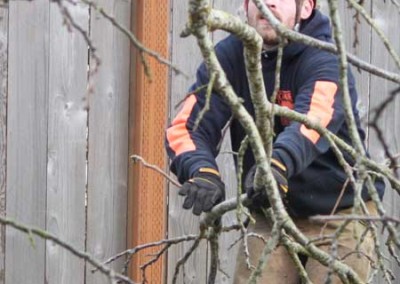 Licensed Tree Services in Vancouver WA and Portland OR by Cascade Tree Works