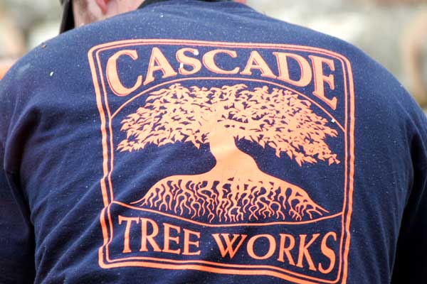 Cascade Tree Works are ISA Certified Arborists in Vancouver Washington 