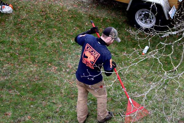 Trust Cascade Tree Works team of ISA Certified Arborists in Vancouver Washington