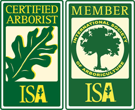 Cascade Tree Works is an ISA Certified Arborist serving Portland OR Gresham Beaverton Vancouver WA Camas Battle Ground